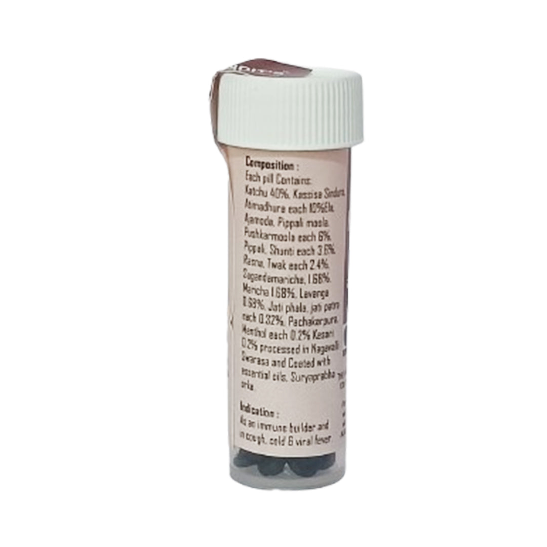 Srikara Kasturi Pills ( 24B ) - B.V. Pundit