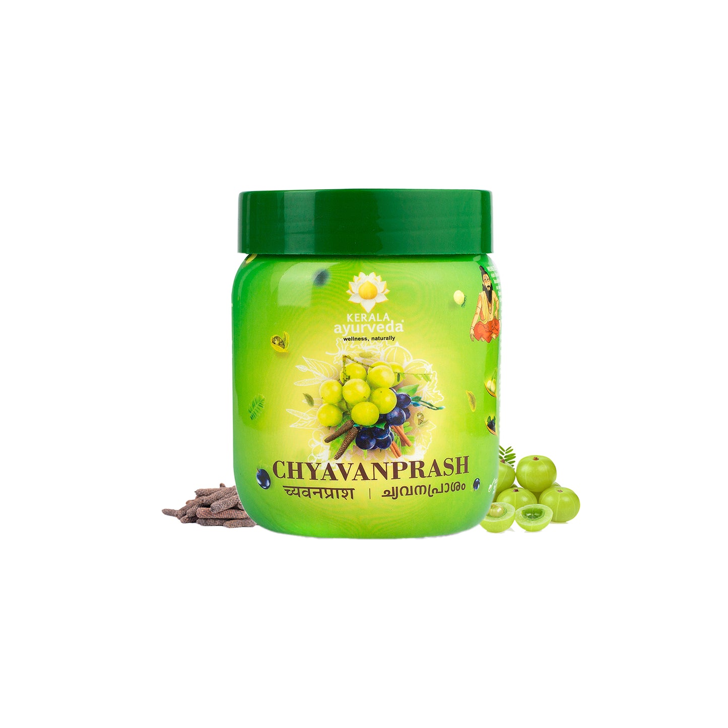 CHYAVANPRASH 500GM
