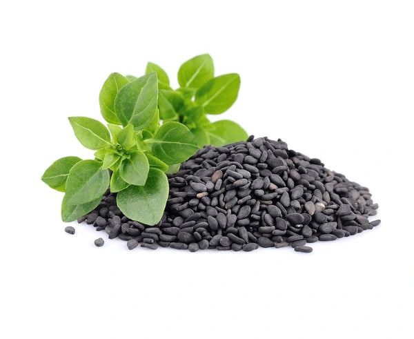 The Most Nutrient-Rich Seed: Sabja
