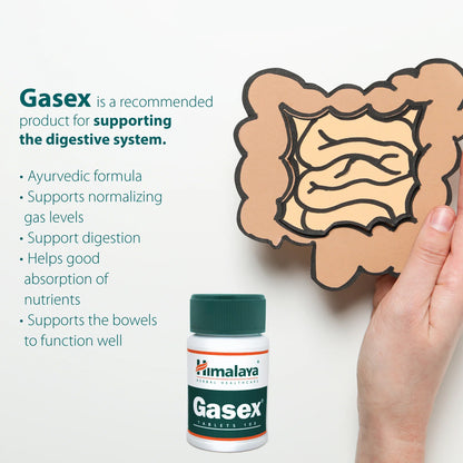 Gasex Tablet (100Tabs) – Himalaya