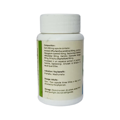 Parinam-DS ( 60T ) - B.V. Pundit