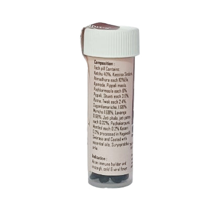 Srikara Kasturi Pills ( 24B )  - B.V. Pundit