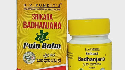 Srikara Badhanjana - B.V. Pundit